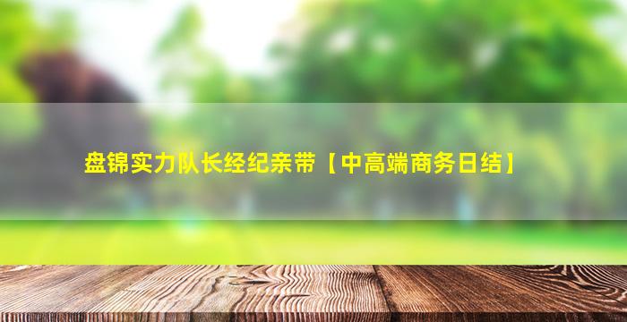 盘锦实力队长经纪亲带【中高端商务日结】